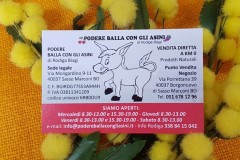 Biglietto-da-visita-con-mimosa