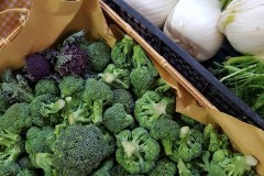 broccoli-e-finocchi
